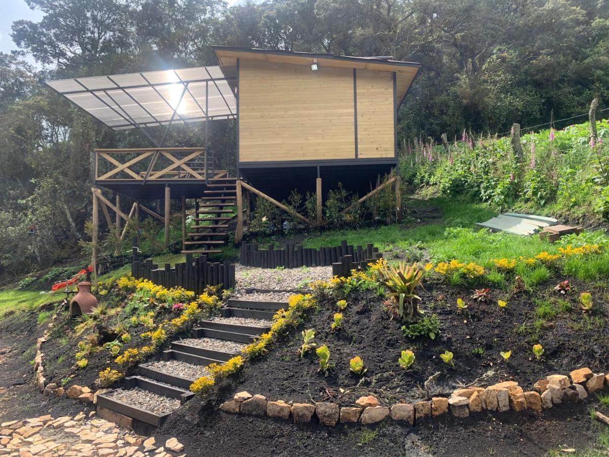 Mirador Bosque Gran Torino Neusa Cogua Ngoại thất bức ảnh