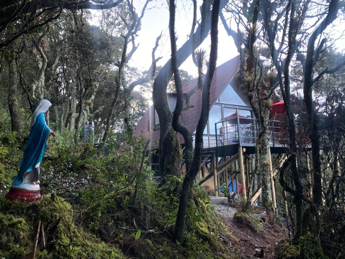 Mirador Bosque Gran Torino Neusa Cogua Ngoại thất bức ảnh