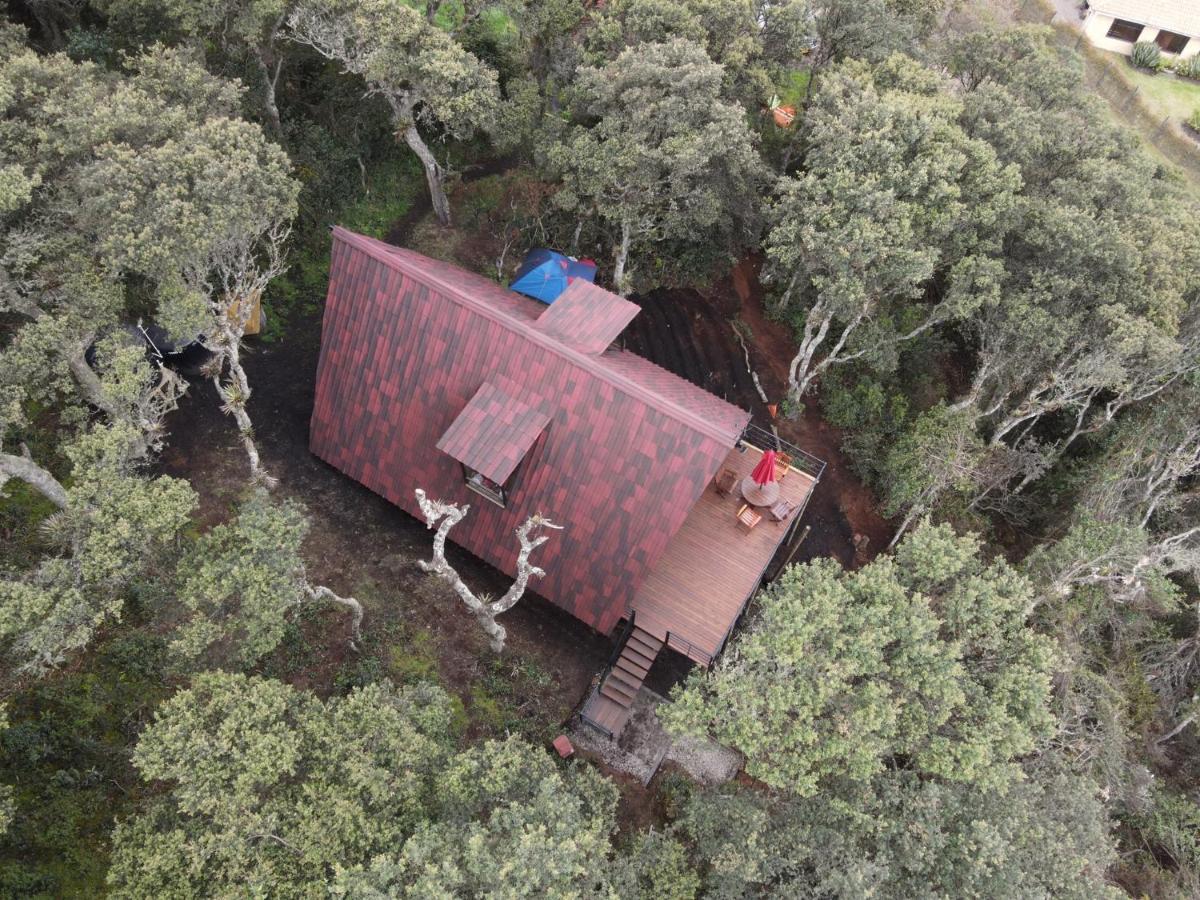 Mirador Bosque Gran Torino Neusa Cogua Ngoại thất bức ảnh