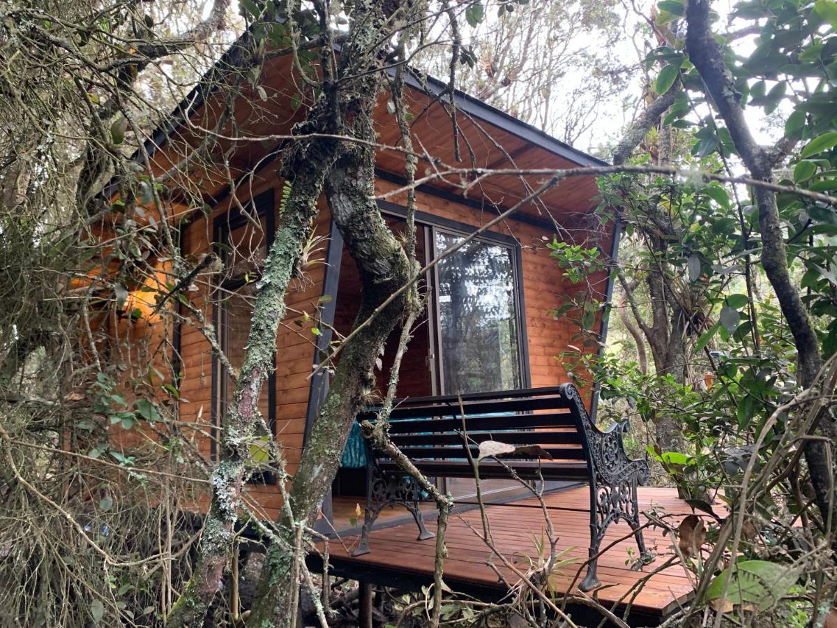 Mirador Bosque Gran Torino Neusa Cogua Ngoại thất bức ảnh