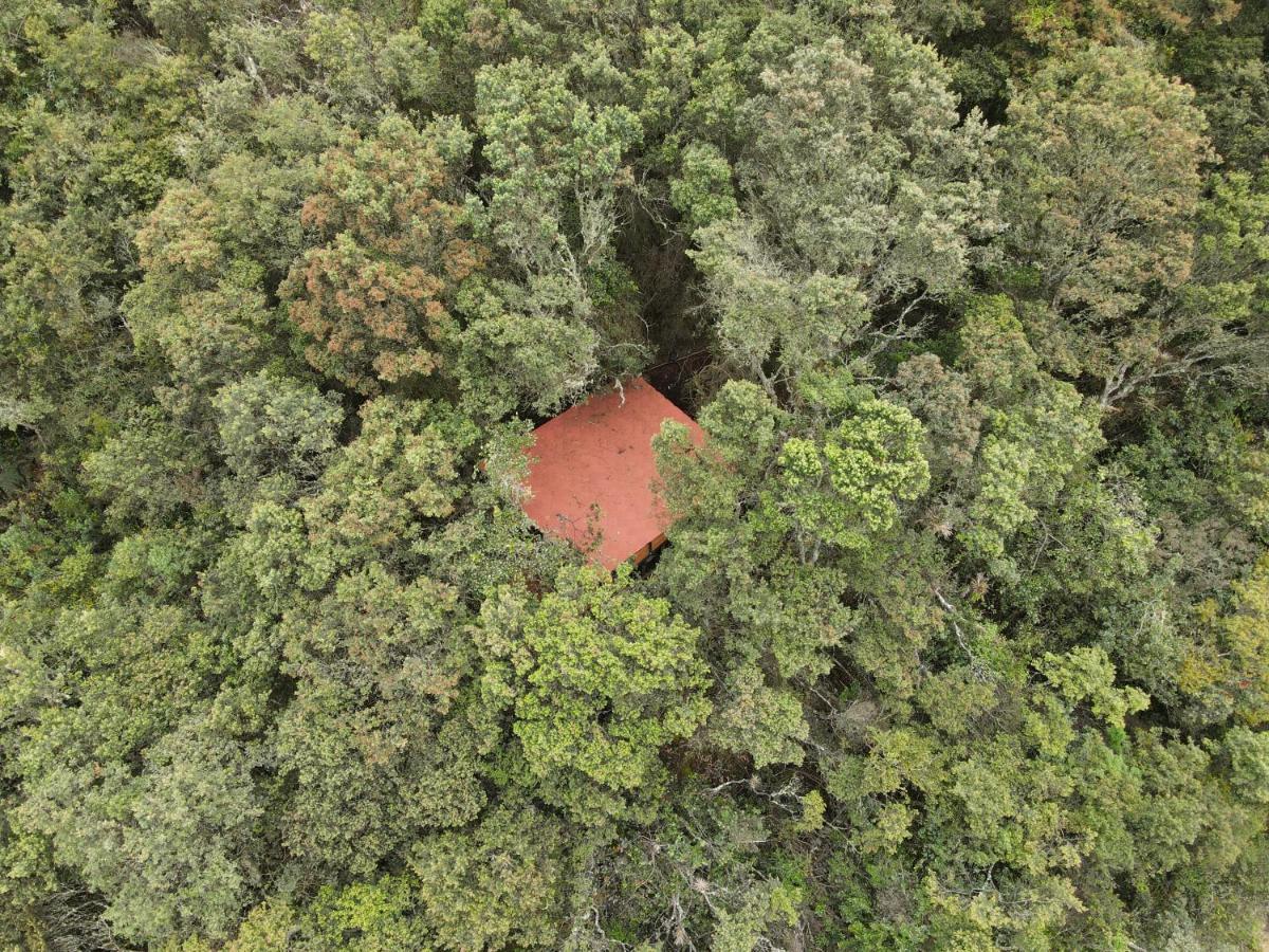 Mirador Bosque Gran Torino Neusa Cogua Ngoại thất bức ảnh