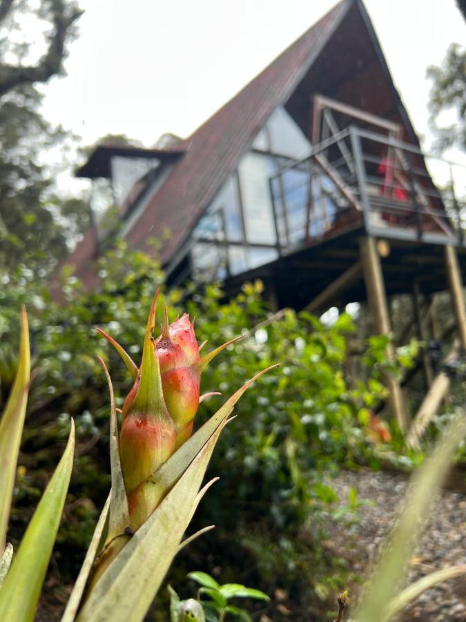 Mirador Bosque Gran Torino Neusa Cogua Ngoại thất bức ảnh
