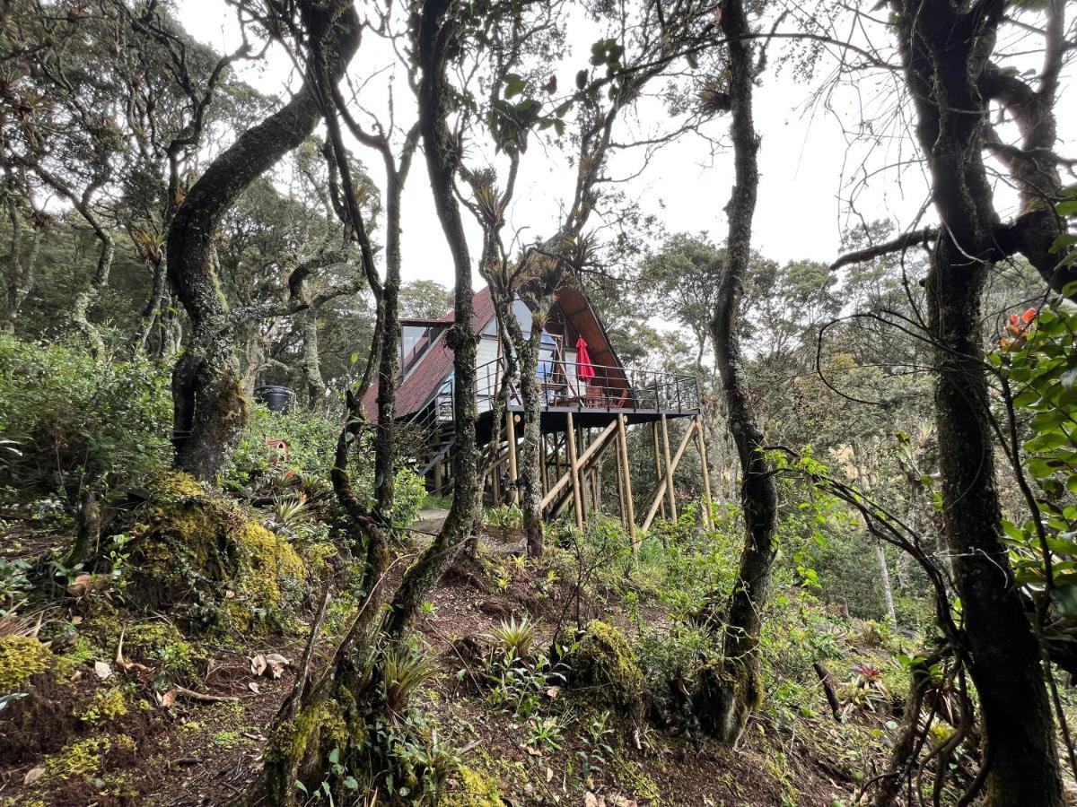 Mirador Bosque Gran Torino Neusa Cogua Ngoại thất bức ảnh