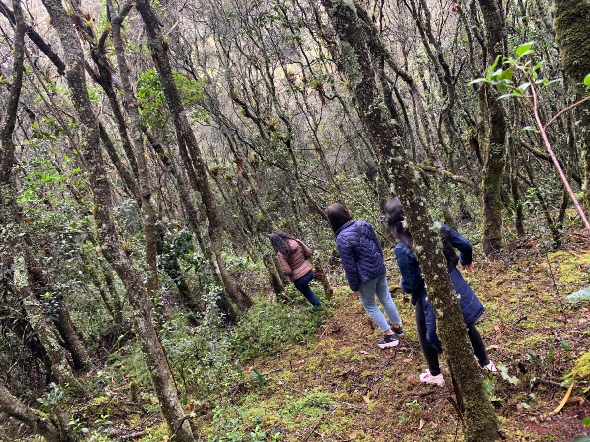 Mirador Bosque Gran Torino Neusa Cogua Ngoại thất bức ảnh