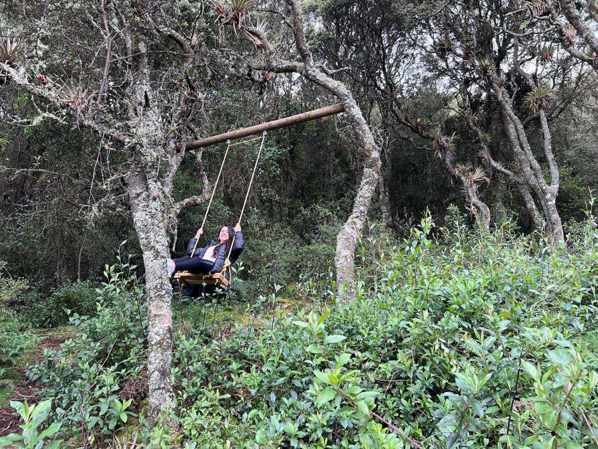 Mirador Bosque Gran Torino Neusa Cogua Ngoại thất bức ảnh