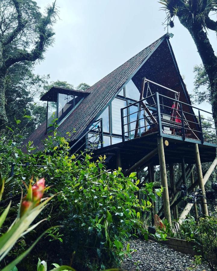 Mirador Bosque Gran Torino Neusa Cogua Ngoại thất bức ảnh